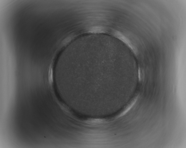 X0000102310205200808081614