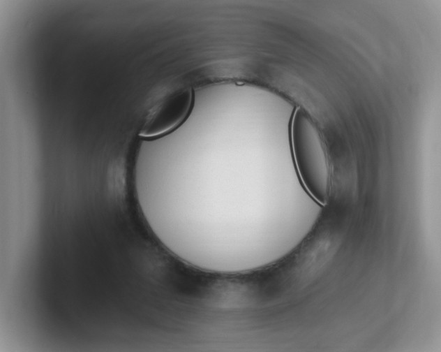 X0000102310207200808081614