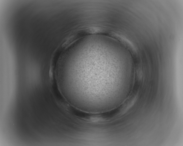 X0000102310214200808081614