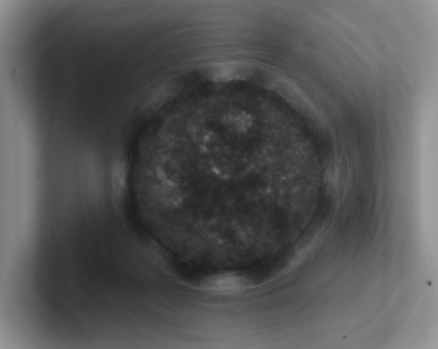 X0000102310219200808081614