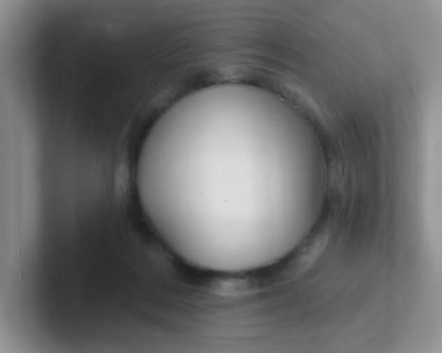 X0000102310220200808081614