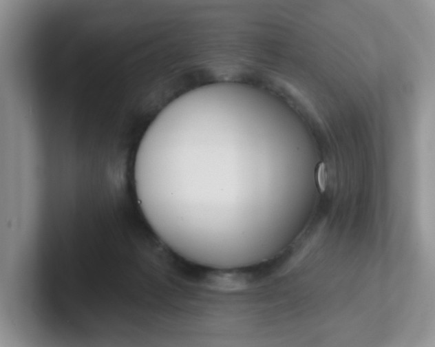 X0000102310221200808081614