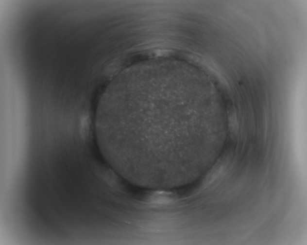 X0000102310222200808081614