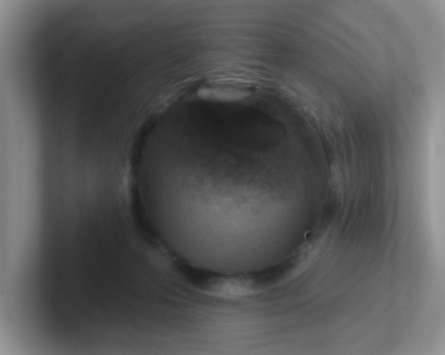 X0000102310223200808081614
