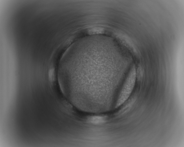 X0000102310224200808081614