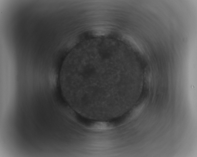 X0000102310227200808081614
