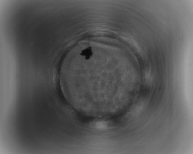 X0000102310228200808081614