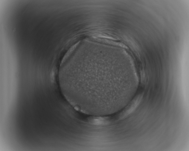 X0000102310229200808081614