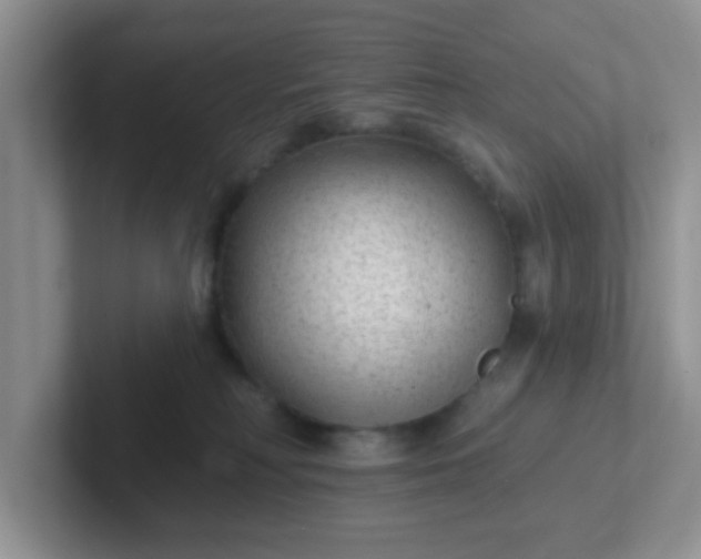 X0000102310230200808081614