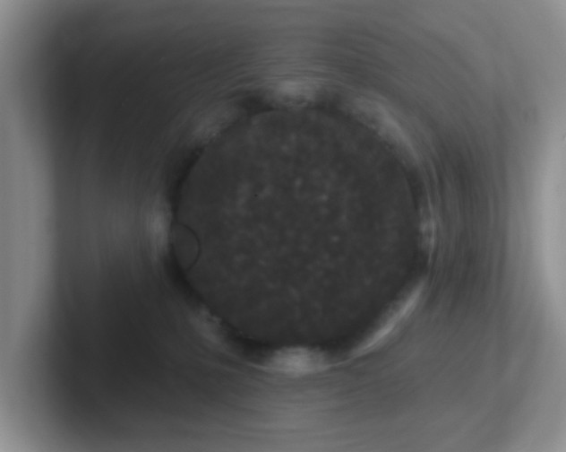 X0000102310231200808081614