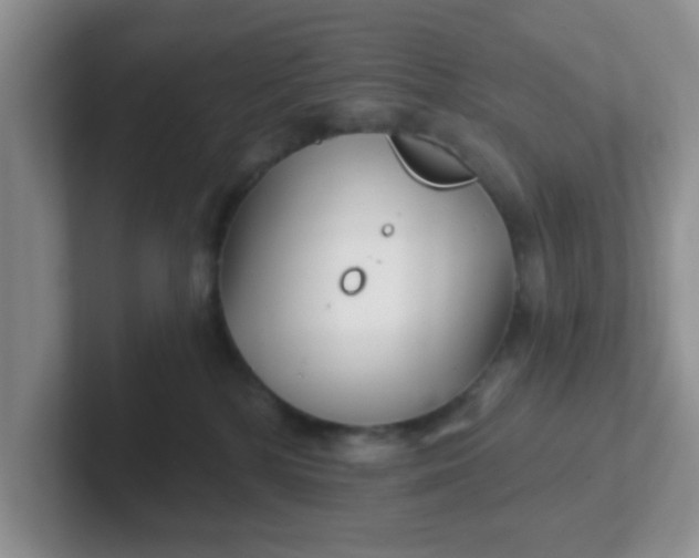 X0000102310232200808081614
