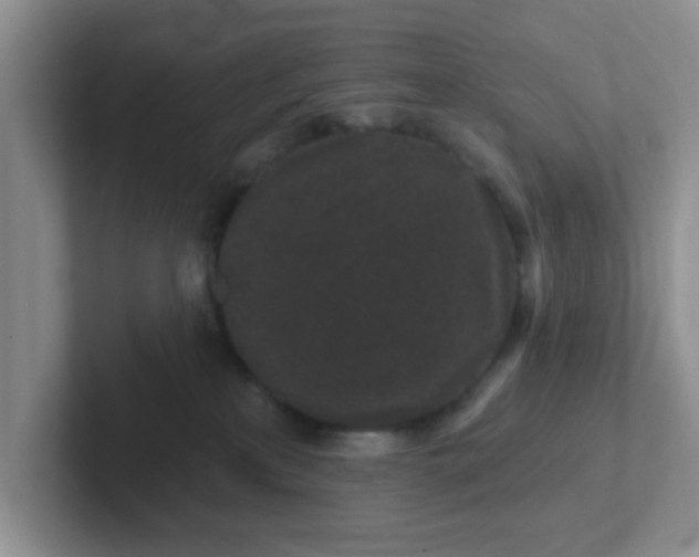X0000102310233200808081614