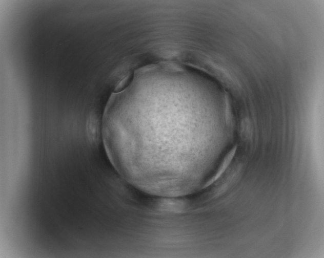 X0000102310234200808081614