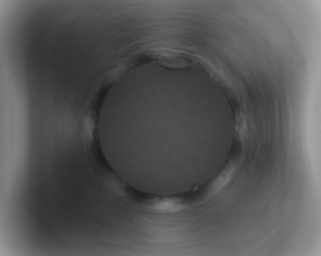 X0000102310235200808081614