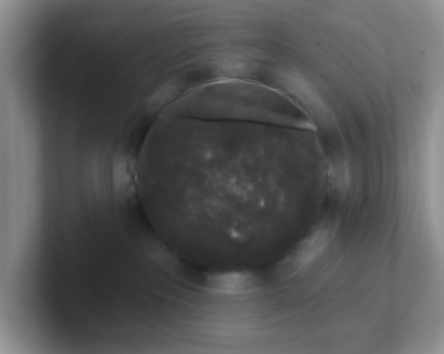 X0000102310237200808081614
