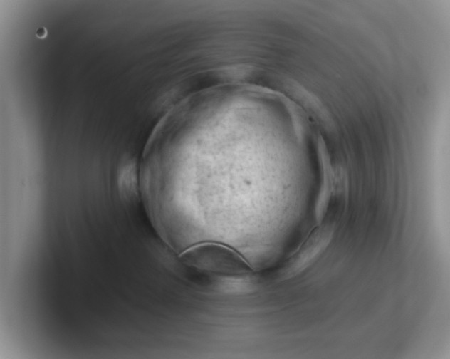 X0000102310238200808081614