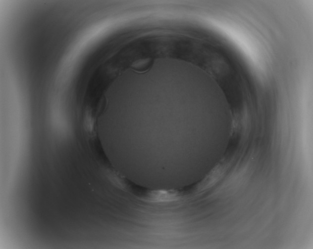 X0000102310239200808081613