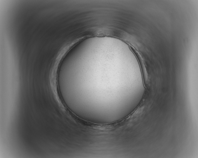 X0000102310241200808081613