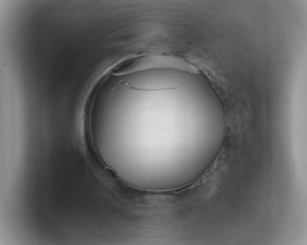 X0000102310242200808081613