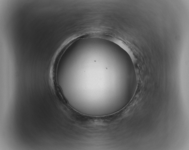 X0000102310244200808081613