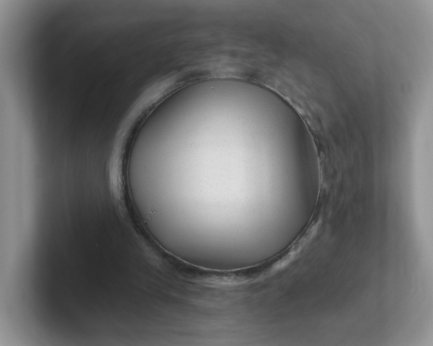 X0000102310245200808081613