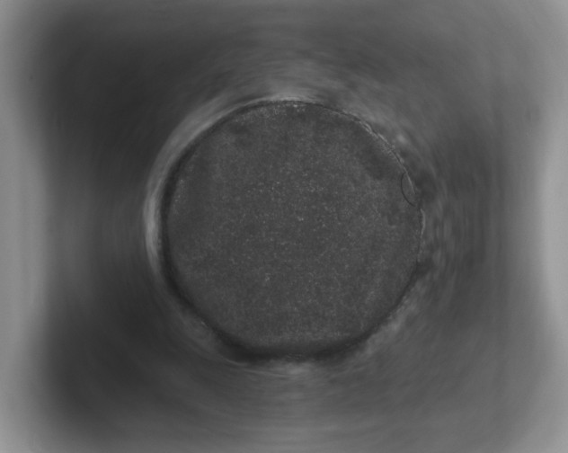 X0000102310247200808081613