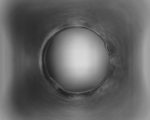 X0000102310248200808081613