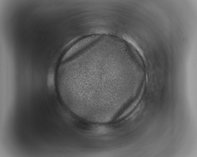 X0000102310249200808081613