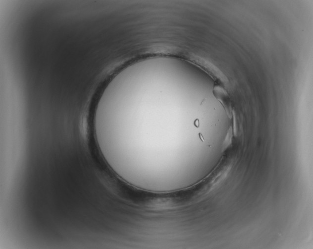 X0000102310252200808081613