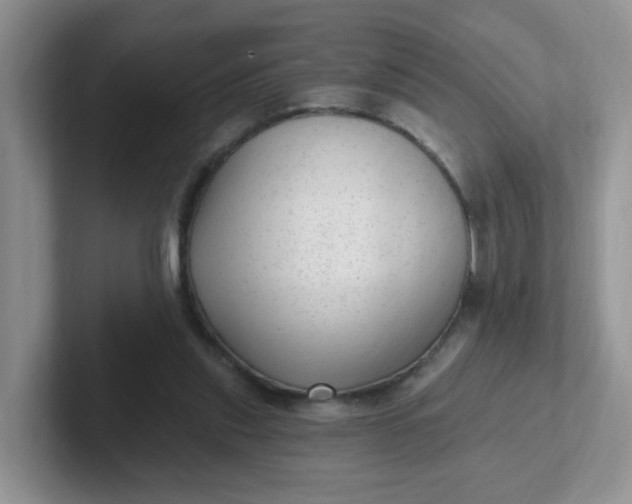 X0000102310253200808081613