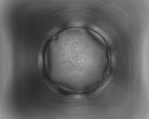 X0000102310254200808081613