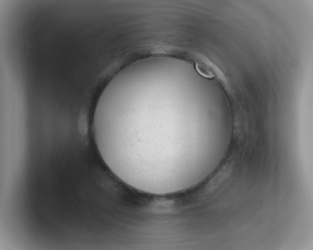 X0000102310257200808081613