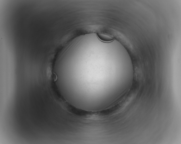 X0000102310259200808081613