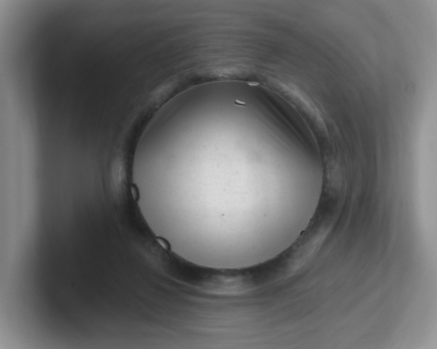 X0000102310260200808081613