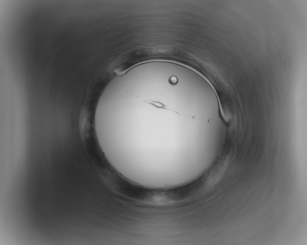 X0000102310264200808081613