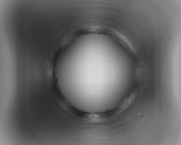 X0000102310265200808081613