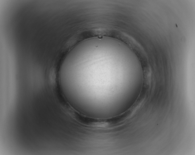 X0000102310266200808081613
