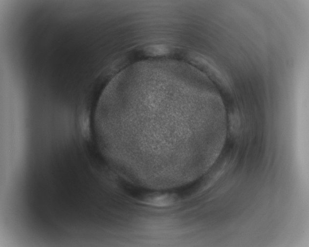 X0000102310267200808081613