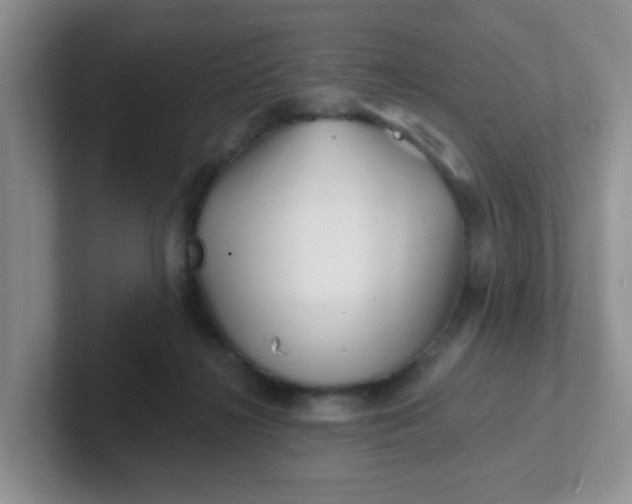 X0000102310268200808081613