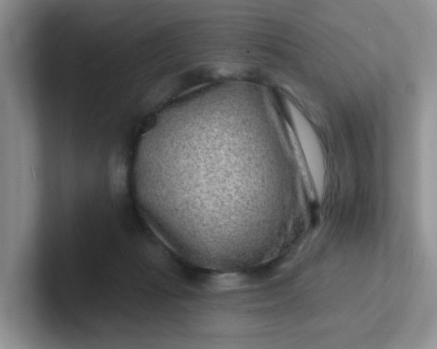 X0000102310269200808081613