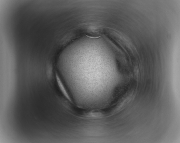 X0000102310270200808081613