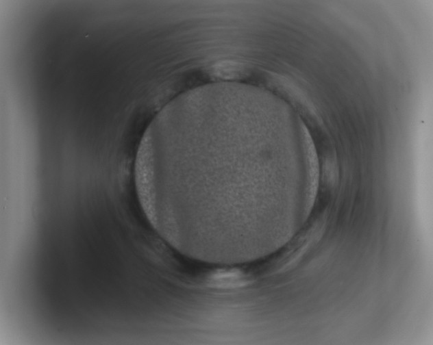 X0000102310271200808081613