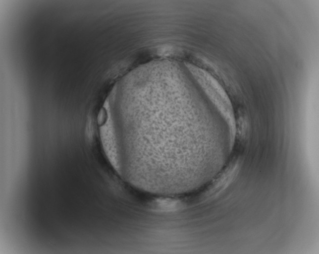 X0000102310272200808081613
