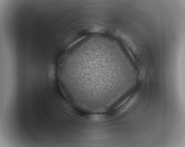 X0000102310273200808081613