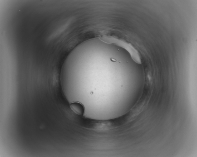 X0000102310274200808081613