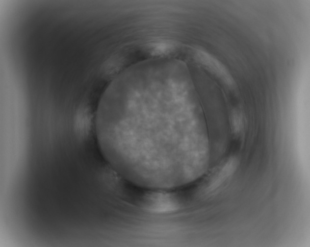 X0000102310276200808081613