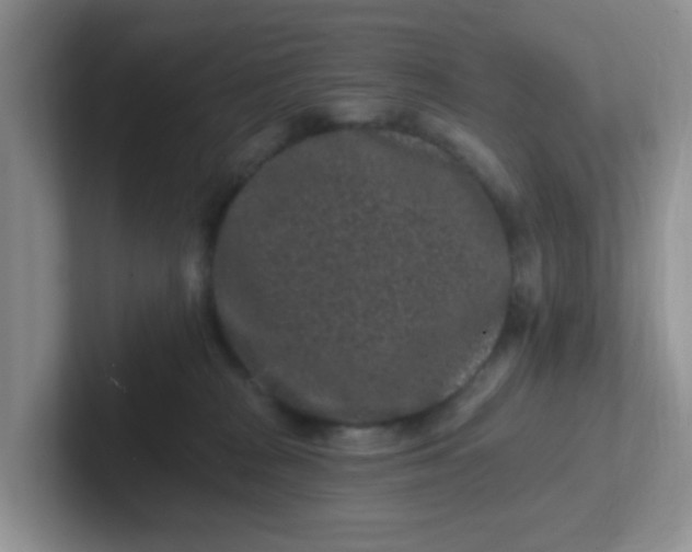 X0000102310277200808081613