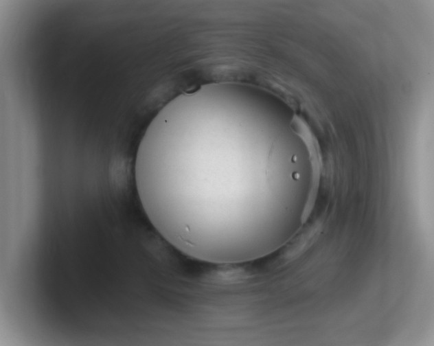 X0000102310278200808081613