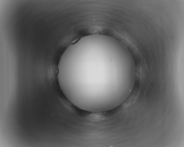 X0000102310280200808081613