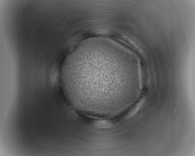 X0000102310281200808081613